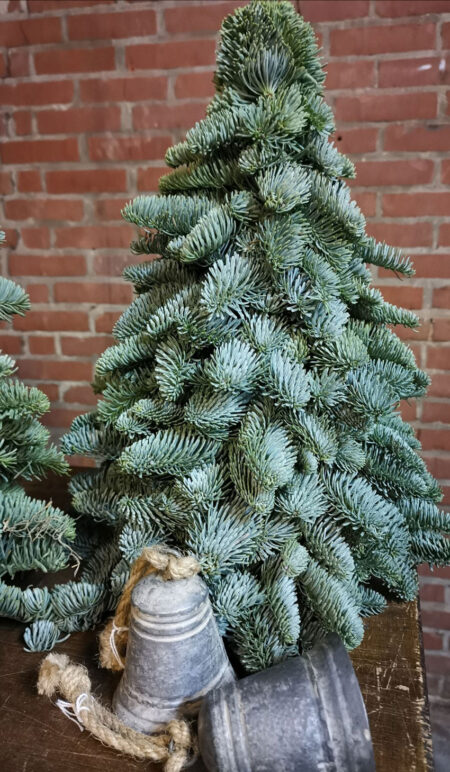 mini kerstboom