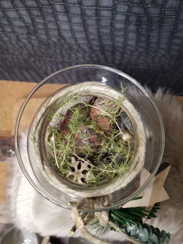 Glazen vaas met amaryllis - goud - Afbeelding 4