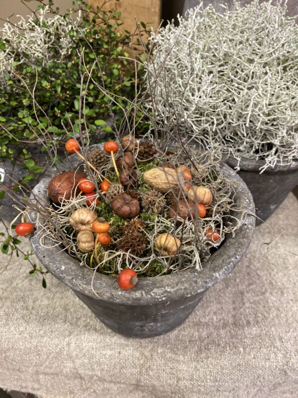 Herfst mix - Pumpkin - Afbeelding 5